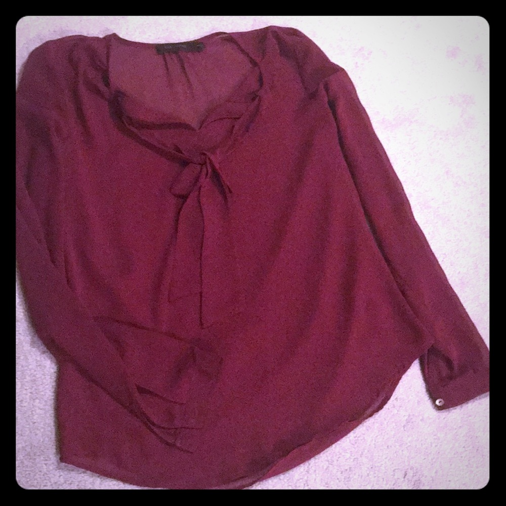 The Limited chiffon blouse in see through fabric